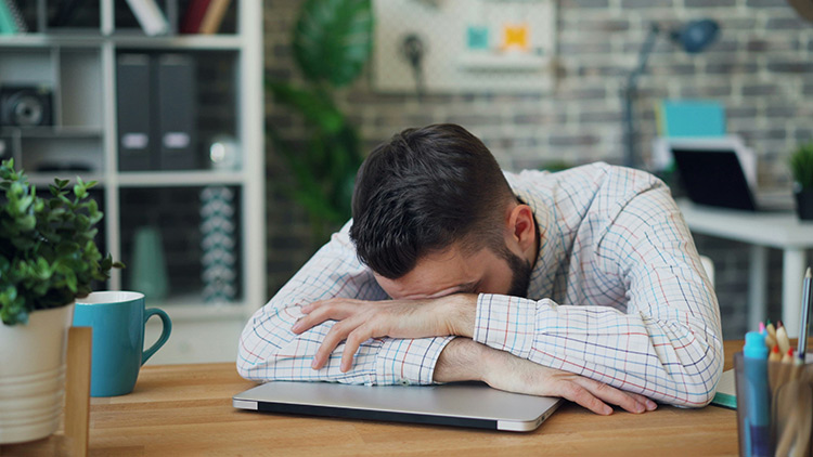 Calgary SMB owner dealing with IT issues within the company