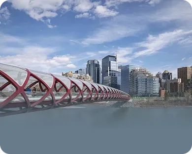 Services We Offer In Edmonton